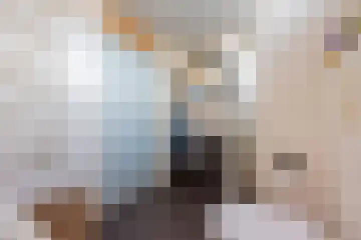 Vriezenkamp 44 Dinxperlo thumbnail 35