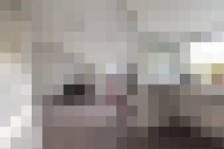 Vriezenkamp 44 Dinxperlo thumbnail 37