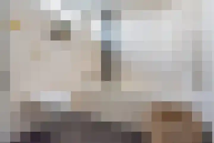 Vriezenkamp 44 Dinxperlo thumbnail 4