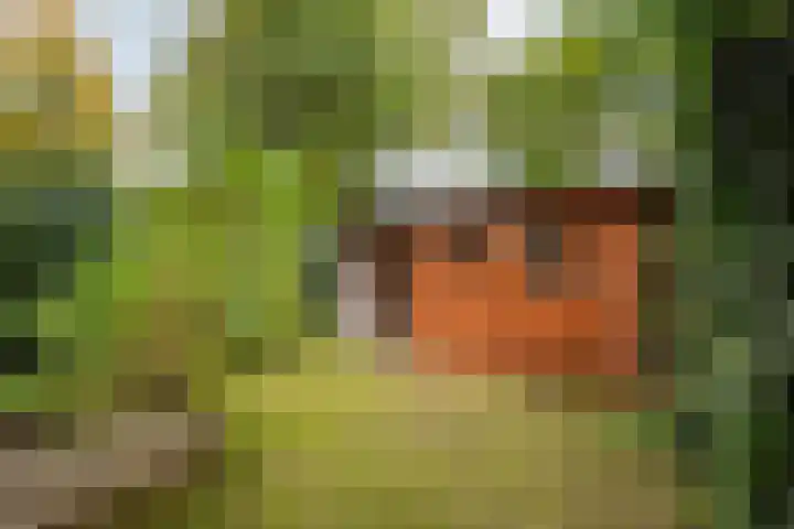 Vriezenkamp 44 Dinxperlo thumbnail 42