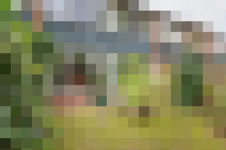 Vriezenkamp 44 Dinxperlo thumbnail 43