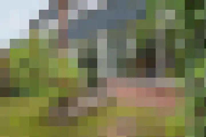 Vriezenkamp 44 Dinxperlo thumbnail 44