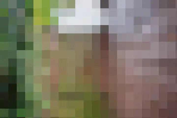 Vriezenkamp 44 Dinxperlo thumbnail 45