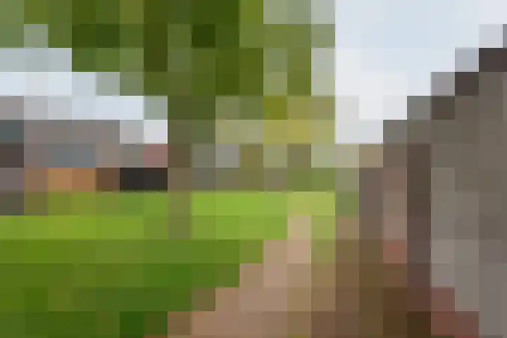 Vriezenkamp 44 Dinxperlo thumbnail 47