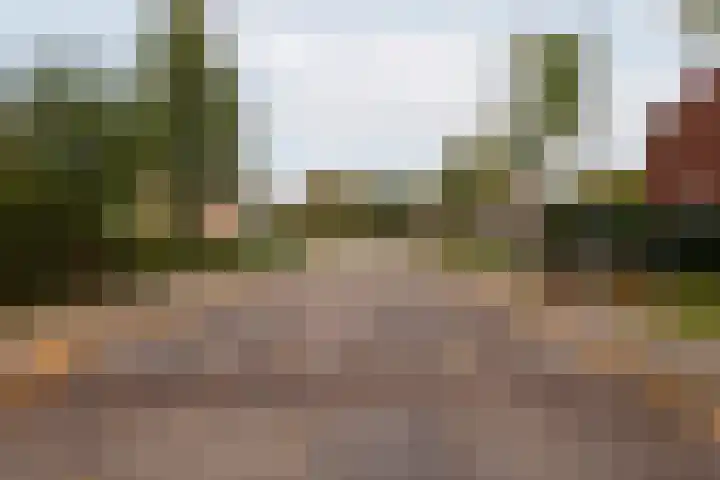 Vriezenkamp 44 Dinxperlo thumbnail 49
