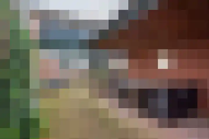 Vriezenkamp 44 Dinxperlo thumbnail 7
