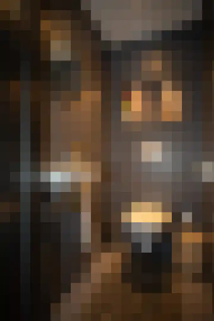 Vriezenveenseweg 28 Wierden thumbnail 10