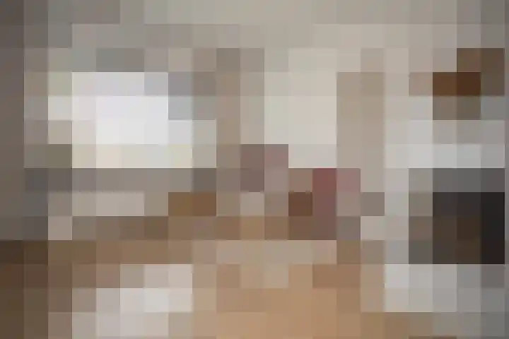 Vriezenveenseweg 28 Wierden thumbnail 15
