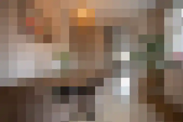 Vriezenveenseweg 28 Wierden thumbnail 16