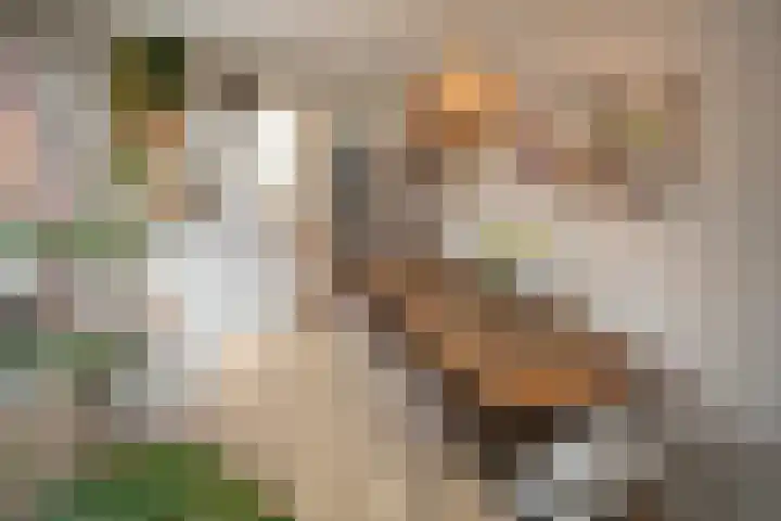 Vriezenveenseweg 28 Wierden thumbnail 18