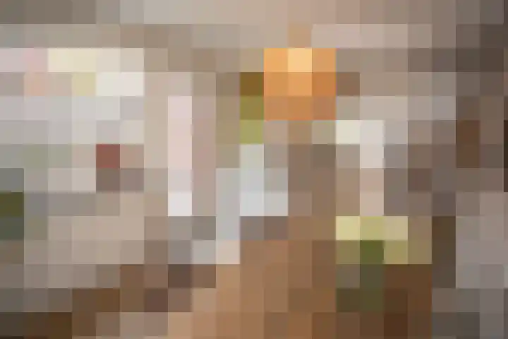 Vriezenveenseweg 28 Wierden thumbnail 19