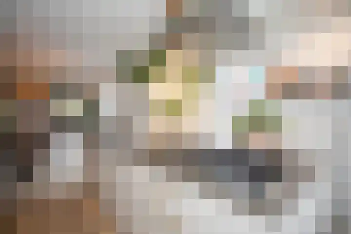 Vriezenveenseweg 28 Wierden thumbnail 20