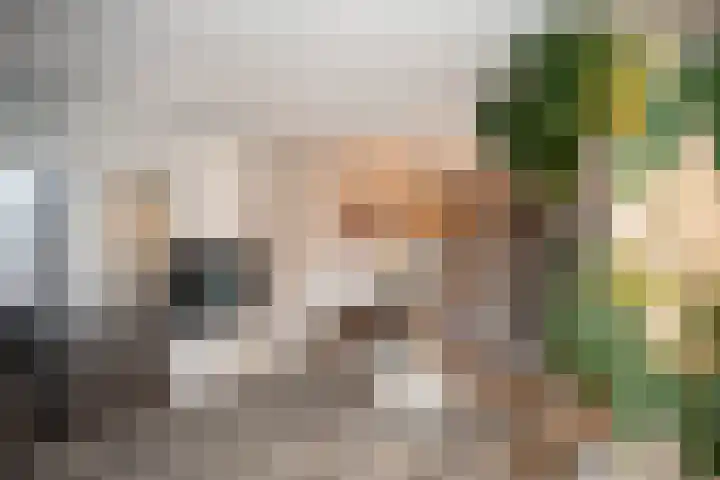 Vriezenveenseweg 28 Wierden thumbnail 21