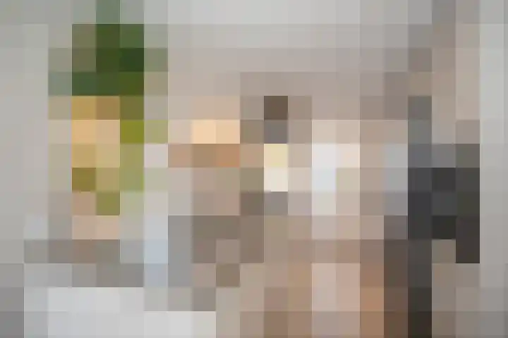 Vriezenveenseweg 28 Wierden thumbnail 22
