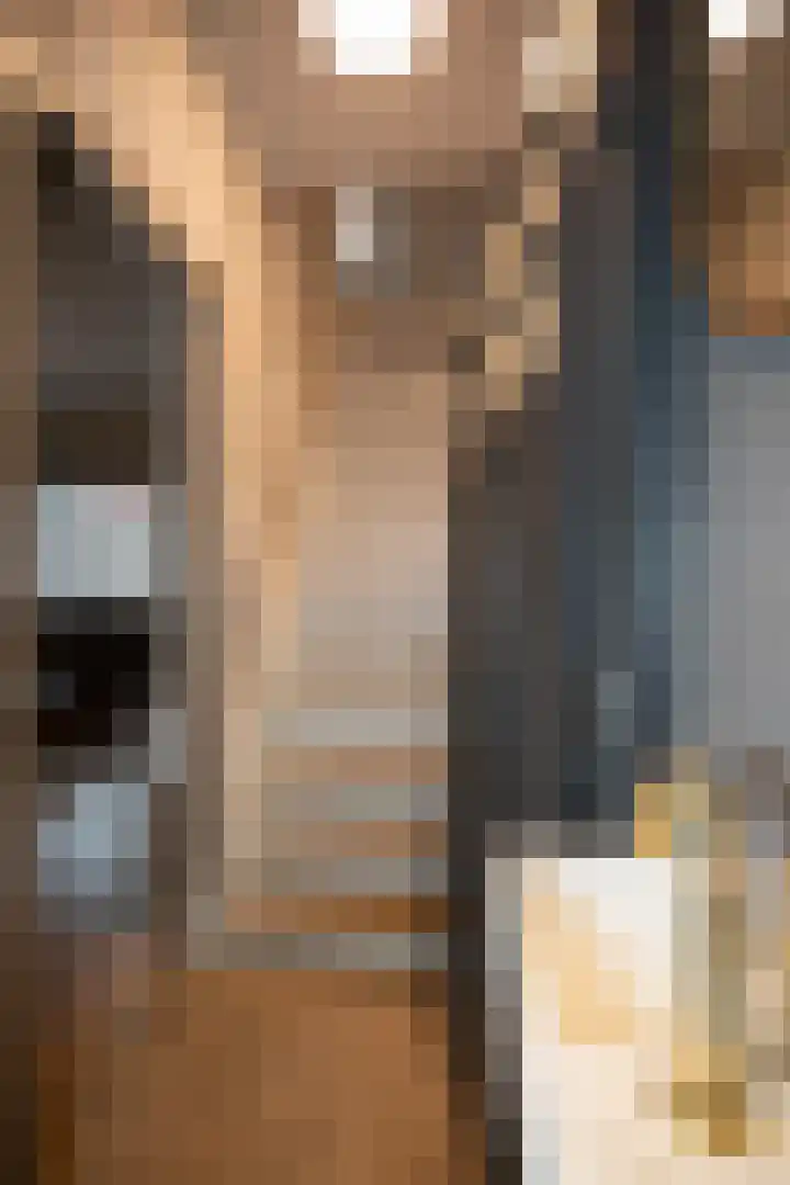 Vriezenveenseweg 28 Wierden thumbnail 27