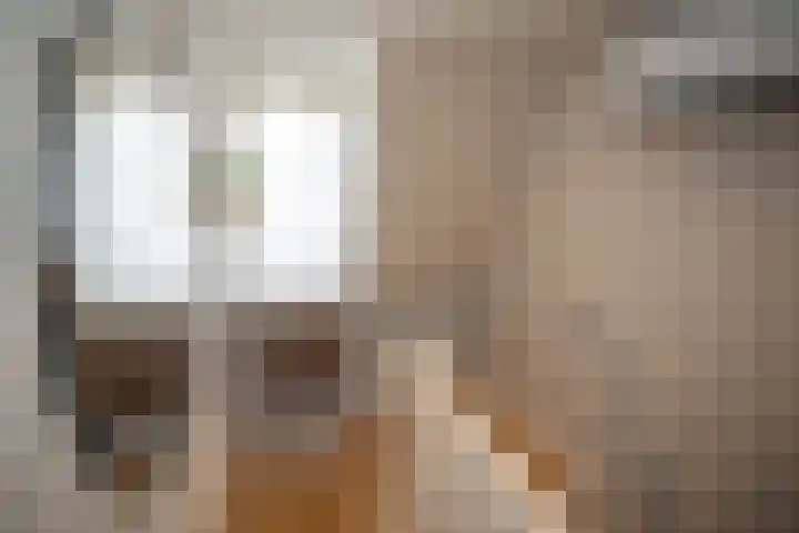 Vriezenveenseweg 28 Wierden thumbnail 28
