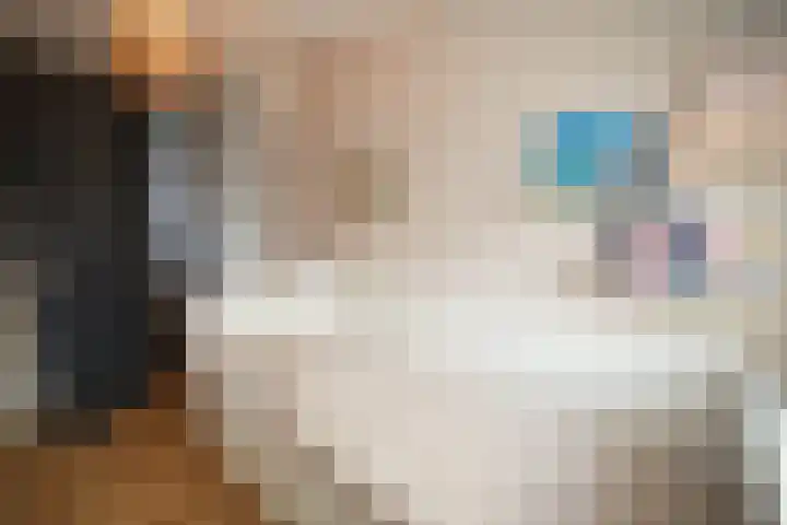 Vriezenveenseweg 28 Wierden thumbnail 32