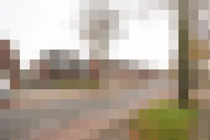 Vriezenveenseweg 28 Wierden thumbnail 4
