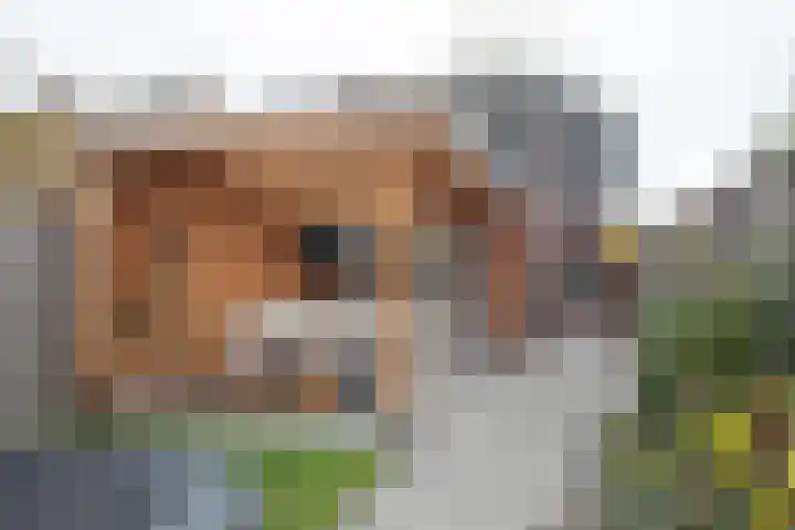 Vriezenveenseweg 28 Wierden thumbnail 41