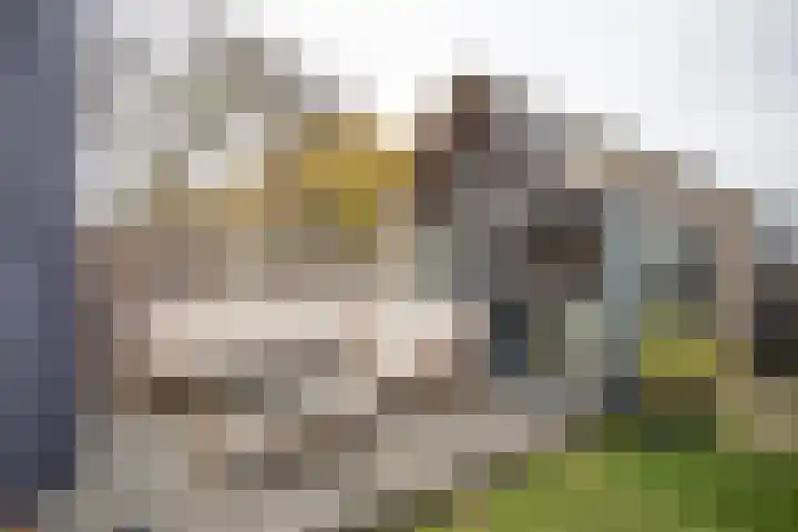 Vriezenveenseweg 28 Wierden thumbnail 42