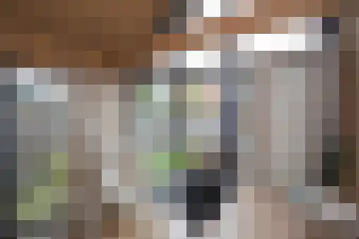Vriezenveenseweg 28 Wierden thumbnail 43
