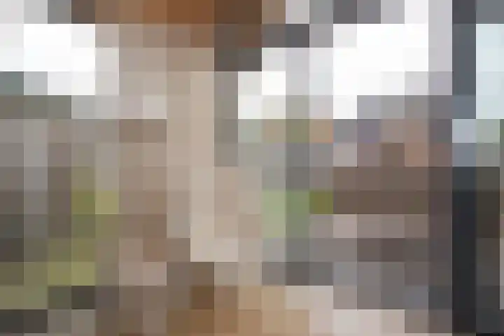 Vriezenveenseweg 28 Wierden thumbnail 44