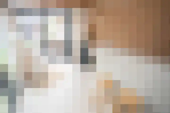 Vriezenveenseweg 28 Wierden thumbnail 46