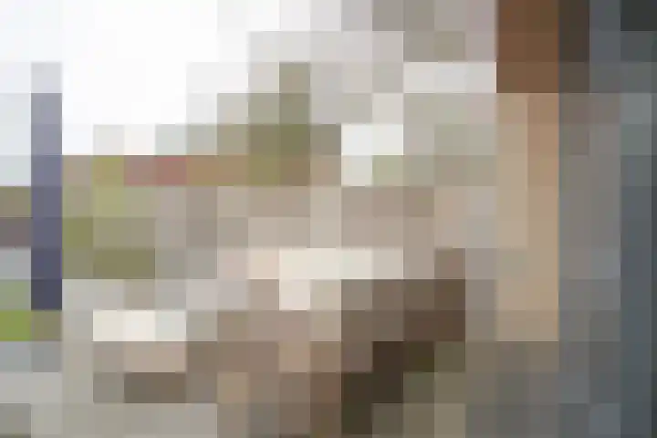 Vriezenveenseweg 28 Wierden thumbnail 47