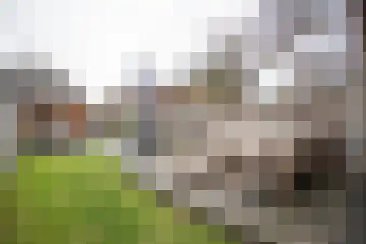 Vriezenveenseweg 28 Wierden thumbnail 48