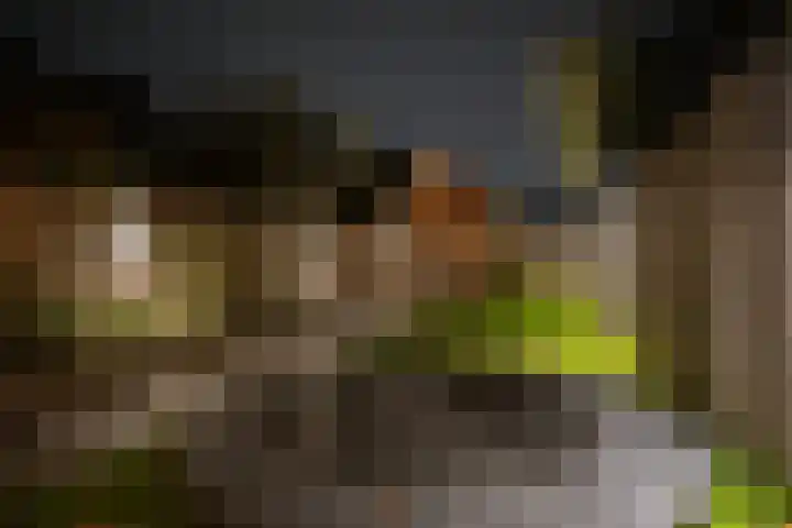 Vriezenveenseweg 28 Wierden thumbnail 51