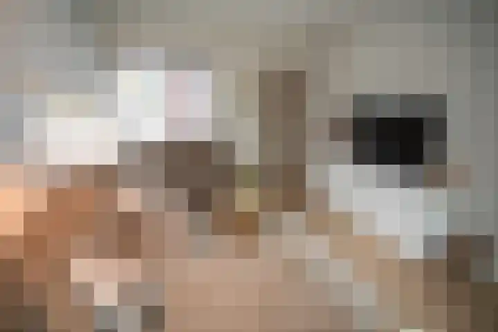 Vriezenveenseweg 28 Wierden thumbnail 8