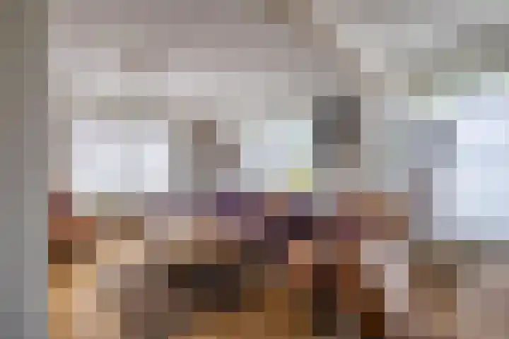 Vriezenveenseweg 31 Vroomshoop thumbnail 10