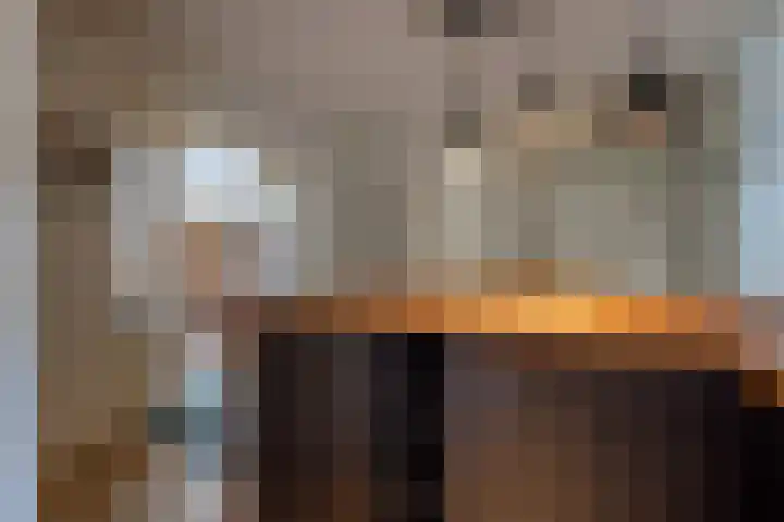 Vriezenveenseweg 31 Vroomshoop thumbnail 15