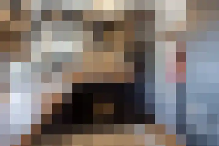 Vriezenveenseweg 31 Vroomshoop thumbnail 18