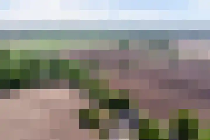 Vriezenveenseweg 31 Vroomshoop thumbnail 20