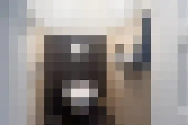 Vriezenveenseweg 31 Vroomshoop thumbnail 20