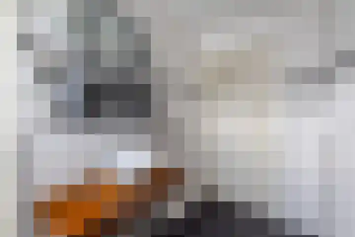 Vriezenveenseweg 31 Vroomshoop thumbnail 21