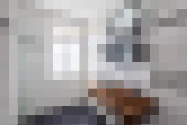 Vriezenveenseweg 31 Vroomshoop thumbnail 22
