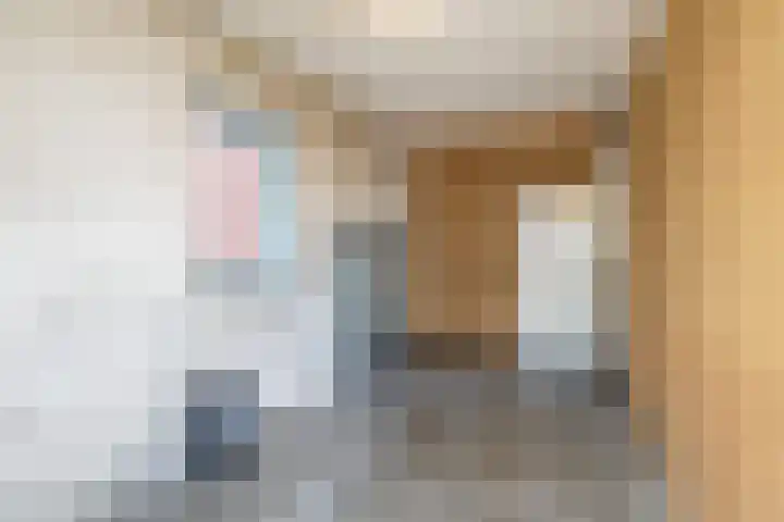 Vriezenveenseweg 31 Vroomshoop thumbnail 25