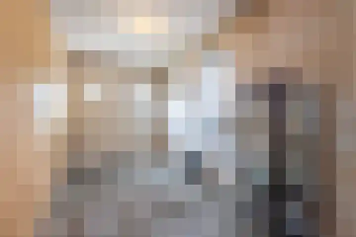 Vriezenveenseweg 31 Vroomshoop thumbnail 26