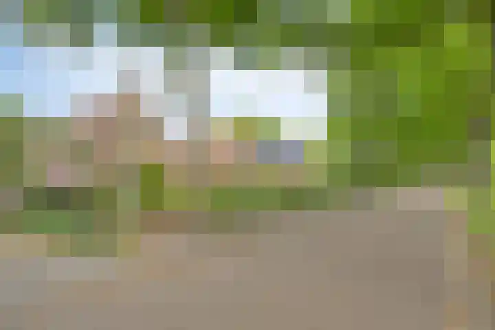 Vriezenveenseweg 31 Vroomshoop thumbnail 27