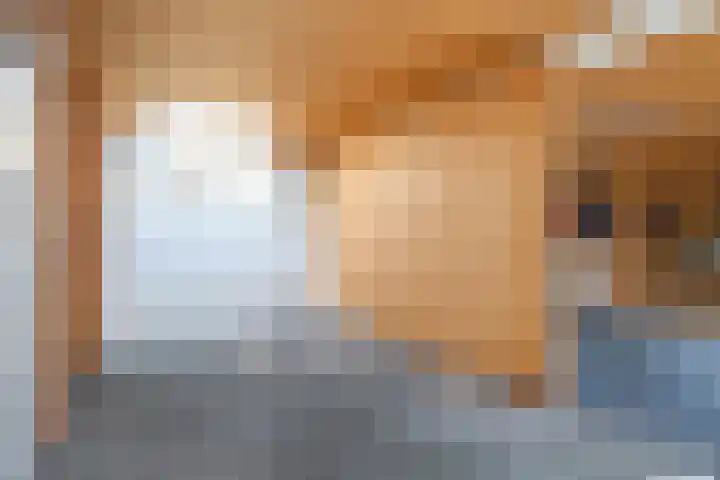 Vriezenveenseweg 31 Vroomshoop thumbnail 27