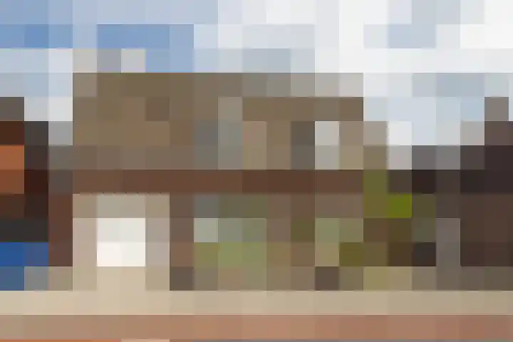 Vriezenveenseweg 31 Vroomshoop thumbnail 30
