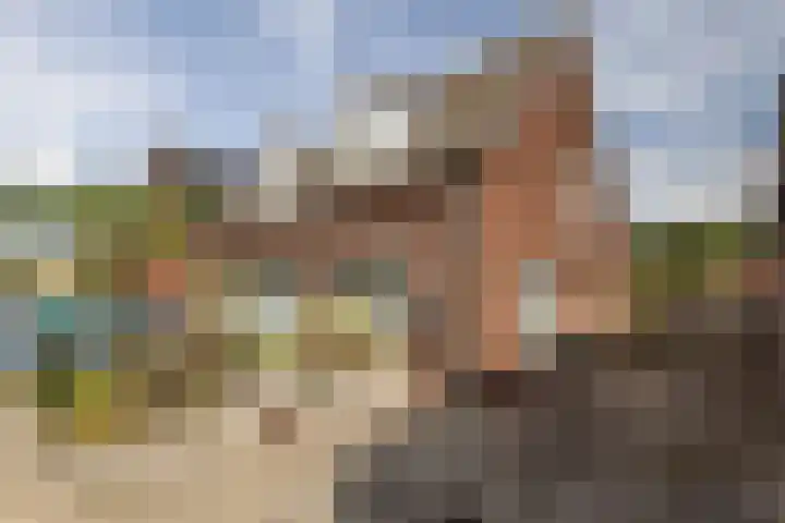 Vriezenveenseweg 31 Vroomshoop thumbnail 32