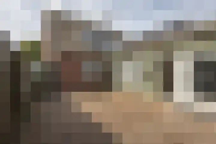 Vriezenveenseweg 31 Vroomshoop thumbnail 33