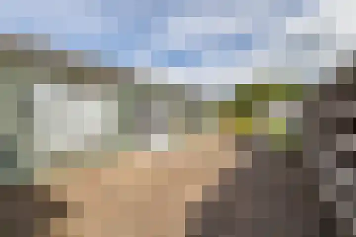 Vriezenveenseweg 31 Vroomshoop thumbnail 36