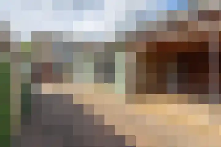 Vriezenveenseweg 31 Vroomshoop thumbnail 37