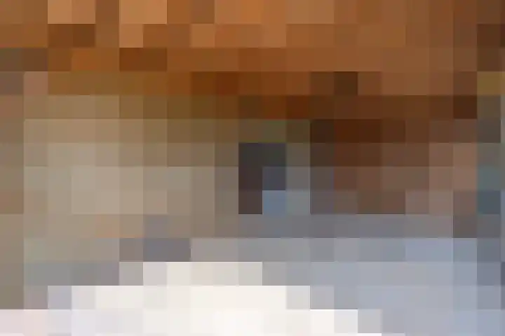 Vriezenveenseweg 31 Vroomshoop thumbnail 38