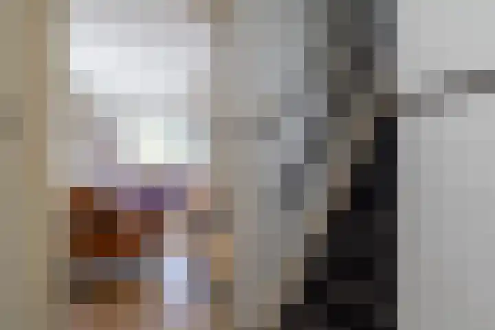 Vriezenveenseweg 31 Vroomshoop thumbnail 4