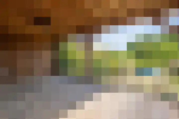 Vriezenveenseweg 31 Vroomshoop thumbnail 41